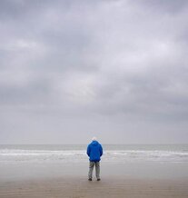 Ozean mit David Attenborough